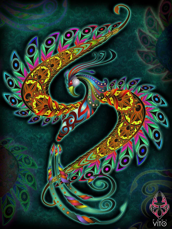 A paisley-inspired interpretation by Paul Vito