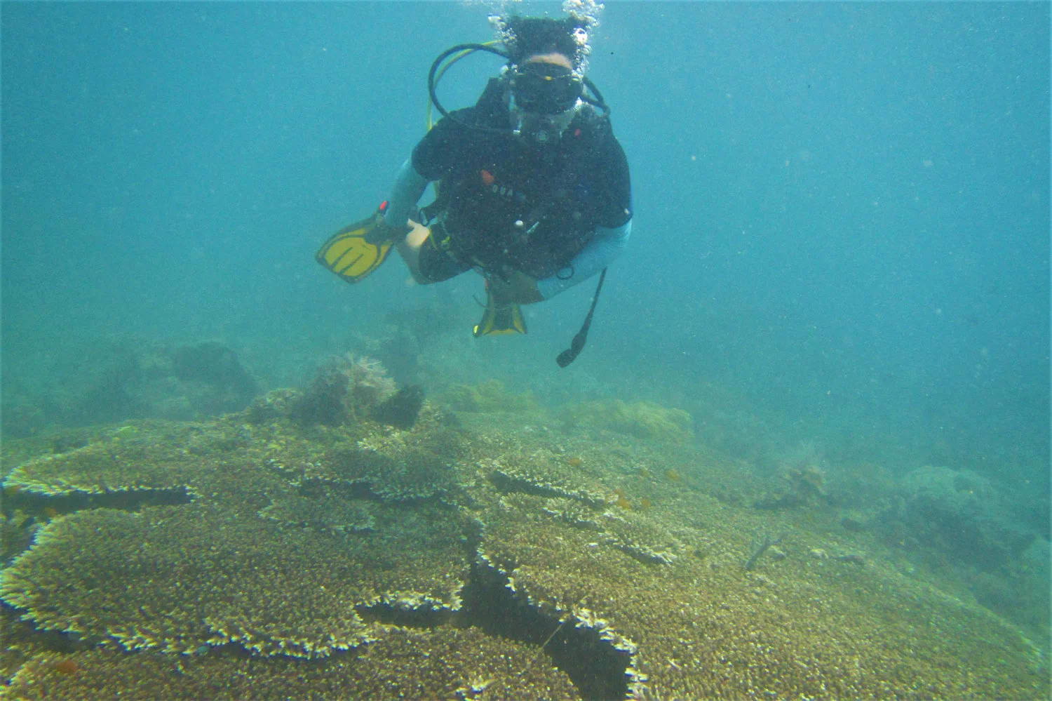 Writer Bernard L. Supetran at the Tinoto Wall dive spot in Maasim.