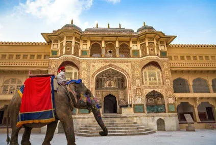One of the iconic symbols of India, the majestic elephant, decked out festively, to take visitors up to the Amber Fort. I already did my elephant thing in Cambodia so there was no need to repeat. Besides, Tim Burton’s live-action version of Dumbo opens this summer.