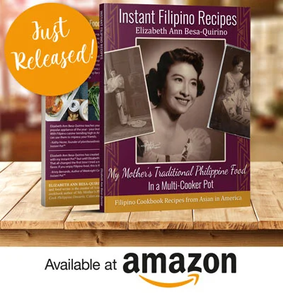 InstantFilipinoRecipesCookbookCoverOct2018.jpg