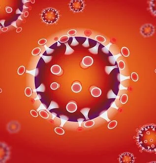 [PARTNER] COVID-19 Protocols at the Consulate General