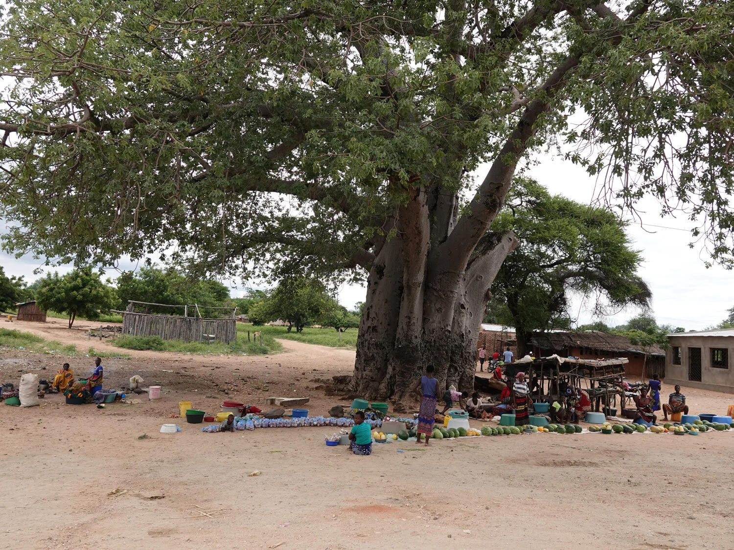 Market scenes like this typically dot the roadside in southern Africa.