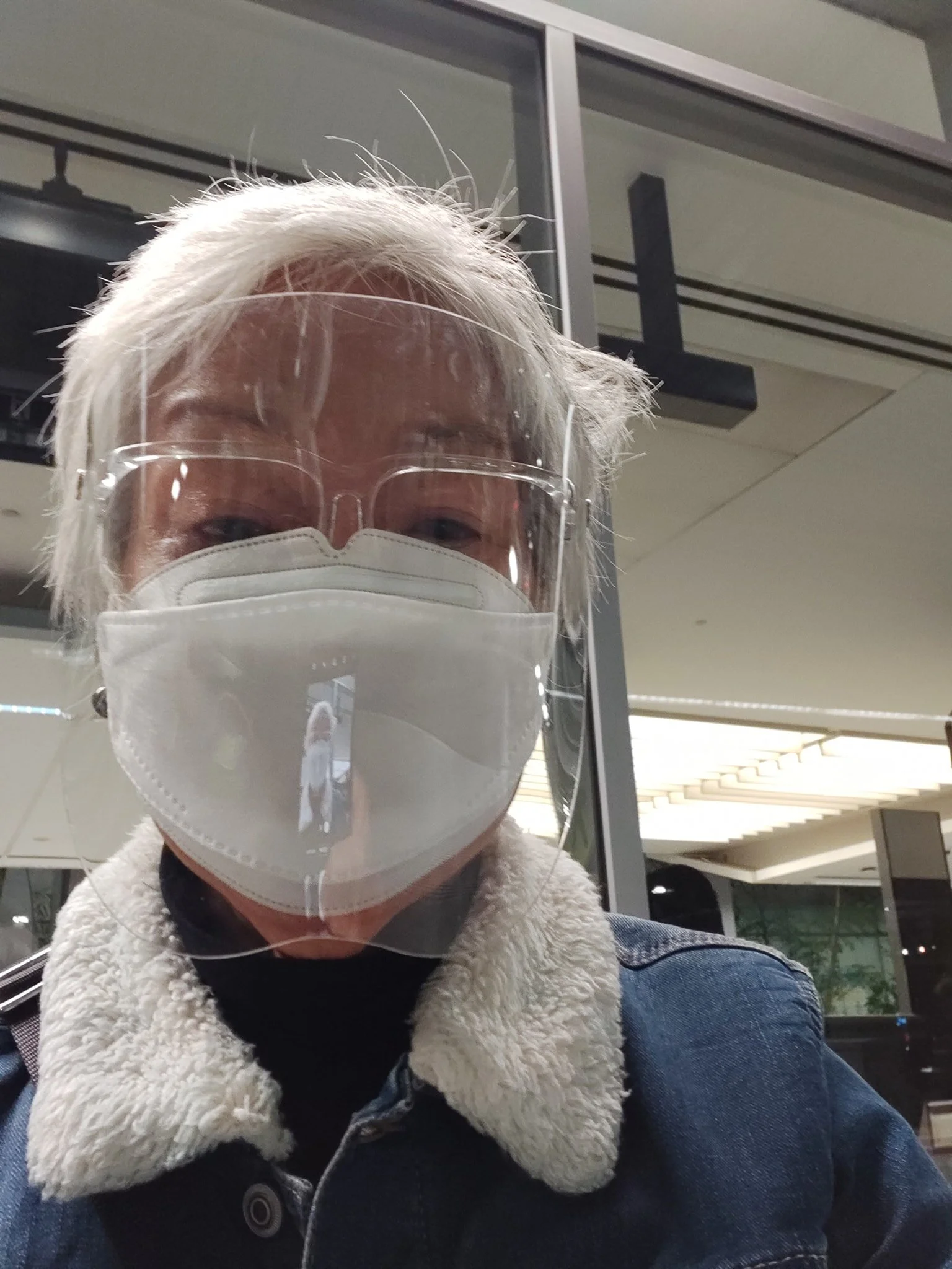 Journal of a Pandemic Traveler