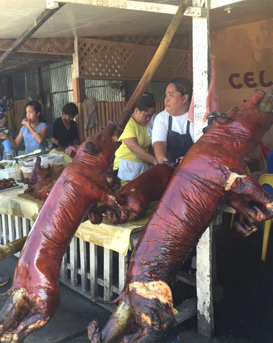 “The Best Pig in the World” — Positively Filipino Online Magazine for