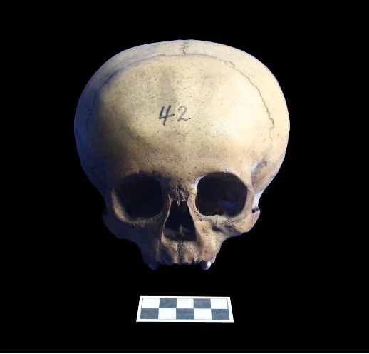 Into the Unknown: The Strange Skulls of Banton, Romblon