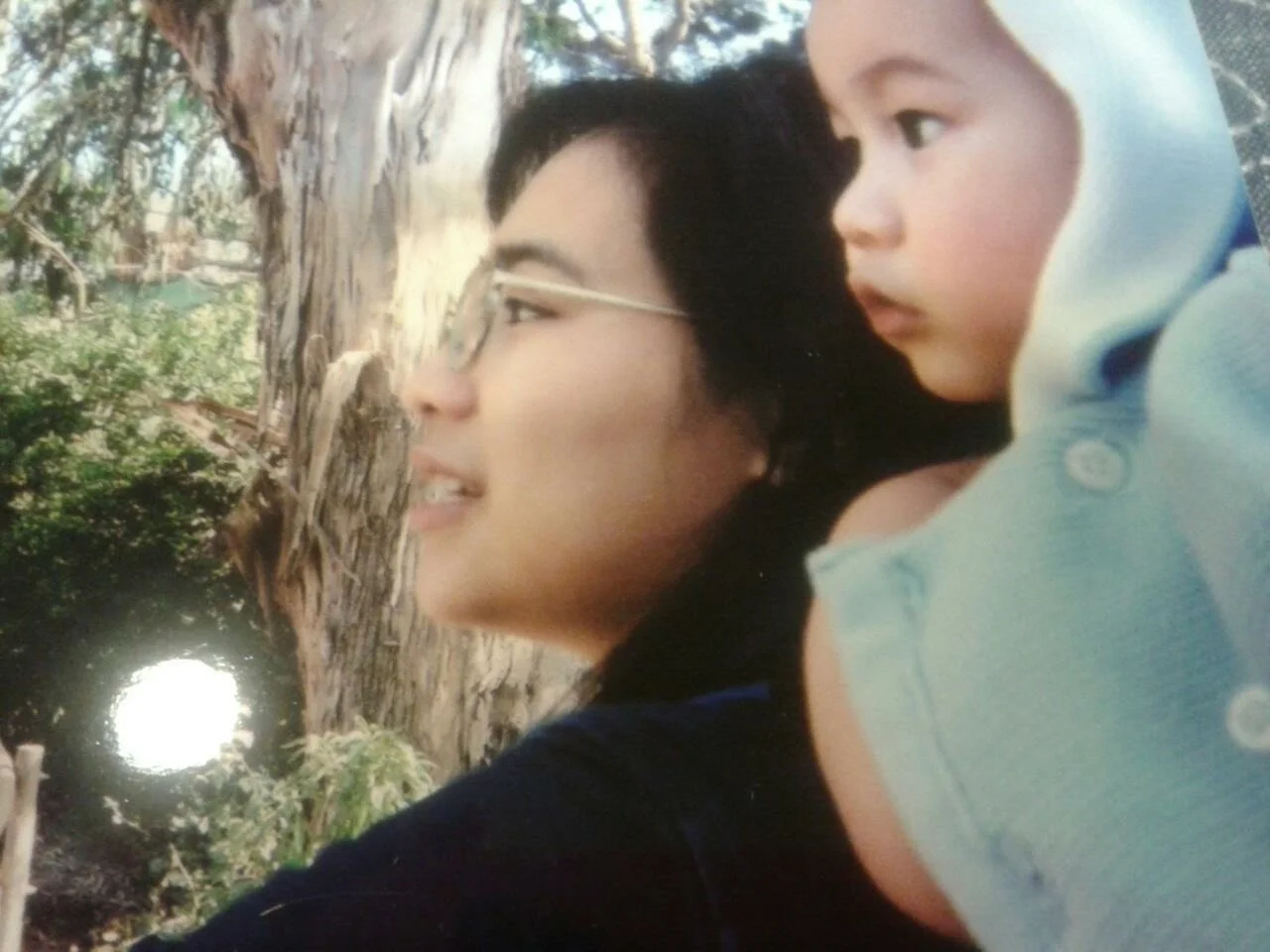 A Domestic Violence Story