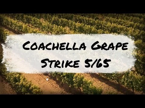 Coachella 565 - Another Chapter in Filipino American Labor History
