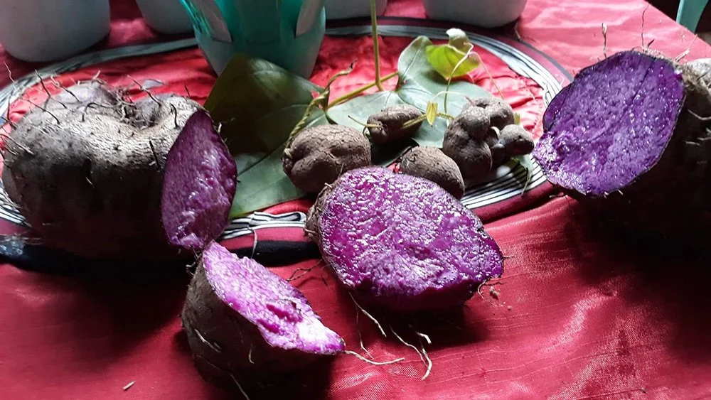 Ube or Not Ube:  The Philippines’ Next Big Export?