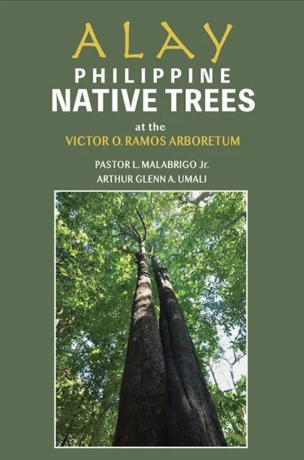 Trees Tagalog Example An Arbor of Rare Trees in Pangasinan — Positively Filipino | Online ...