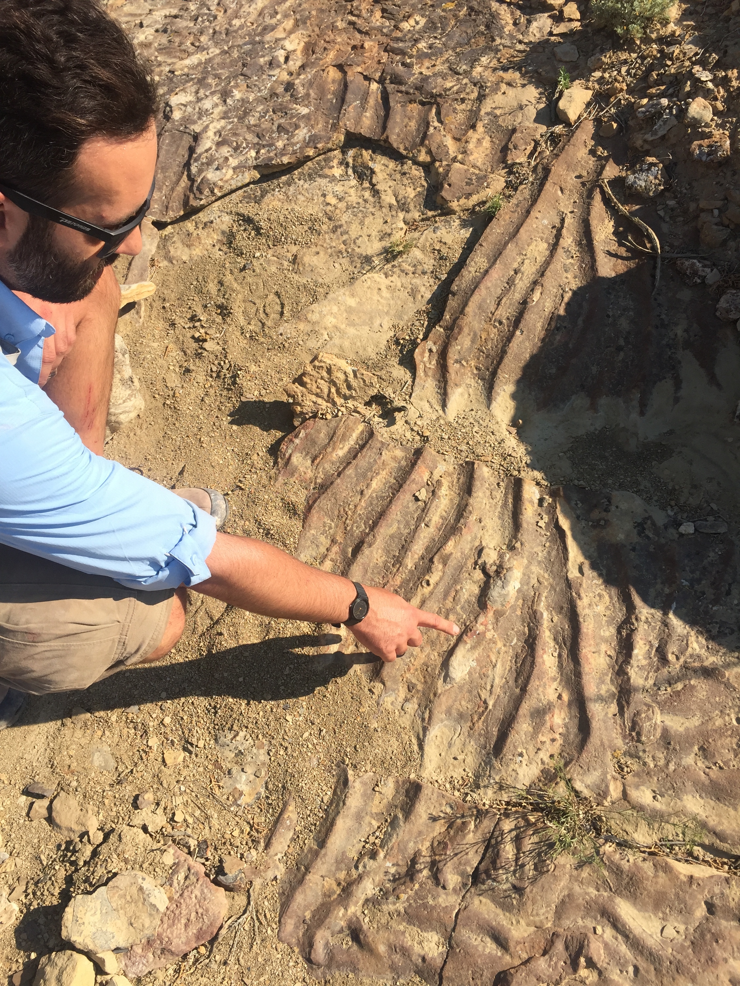 Mike pointing out where the rock shows the bottom of an ancient ocean