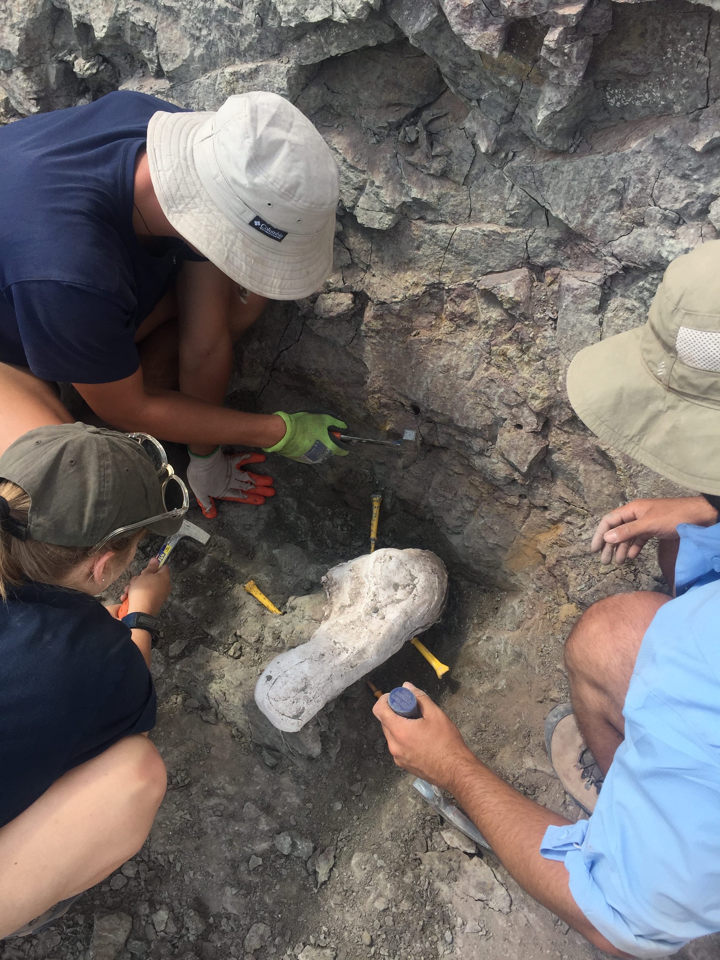 Popping the jacketed Ulna out of the rock