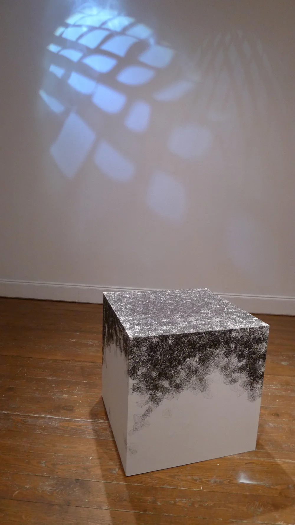 Synecology, 2013 - Jeemin Lee and Hae Byn Yoon Installation View