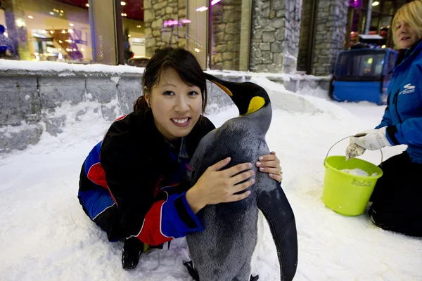 DUBAI, UAE. January 30, 2012 – A colony of snow penguins moved into Ski Dubai in Mall of Emirates. I even got to hug one!