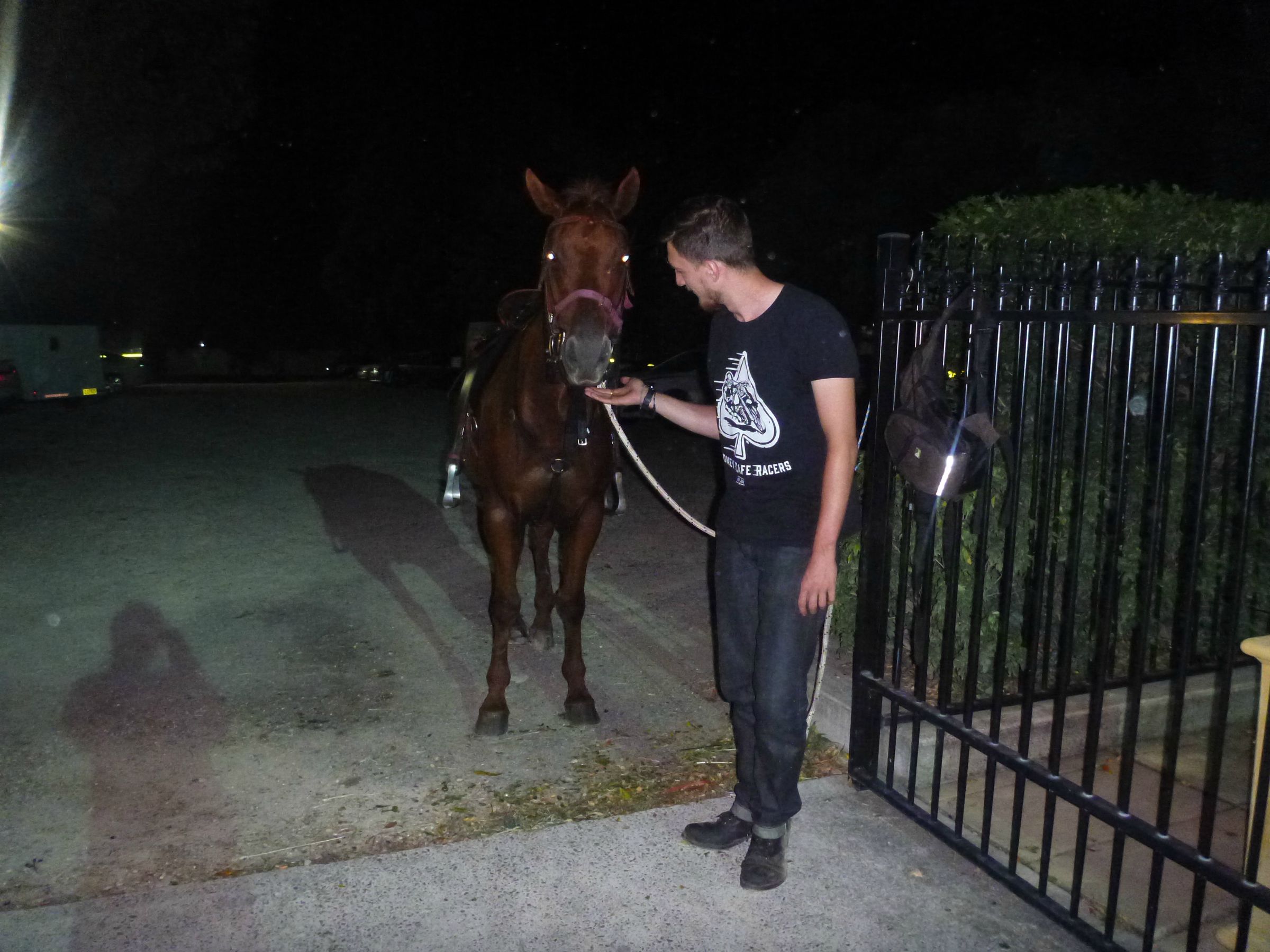 A country pub should have at least one horse parked in the carpark. 