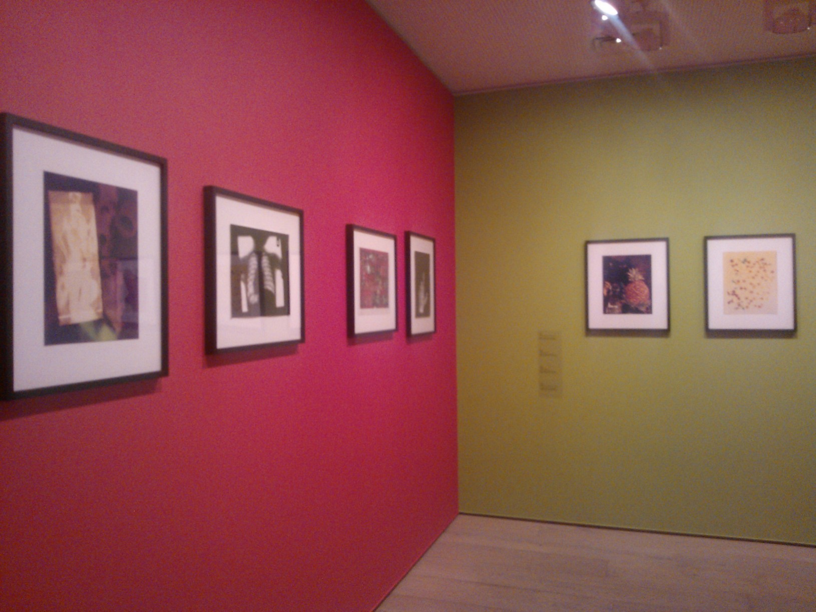 Late Photograms