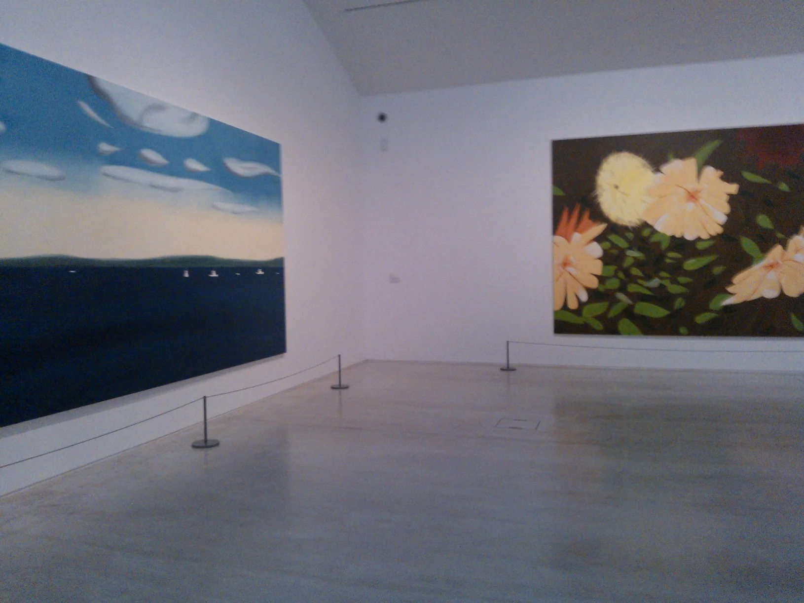 Exhibition installation