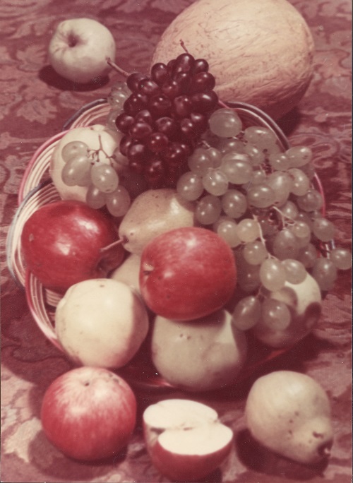 Ivan Shagin, Fruits, 1949