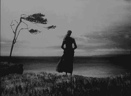 Still from the video in The Ring