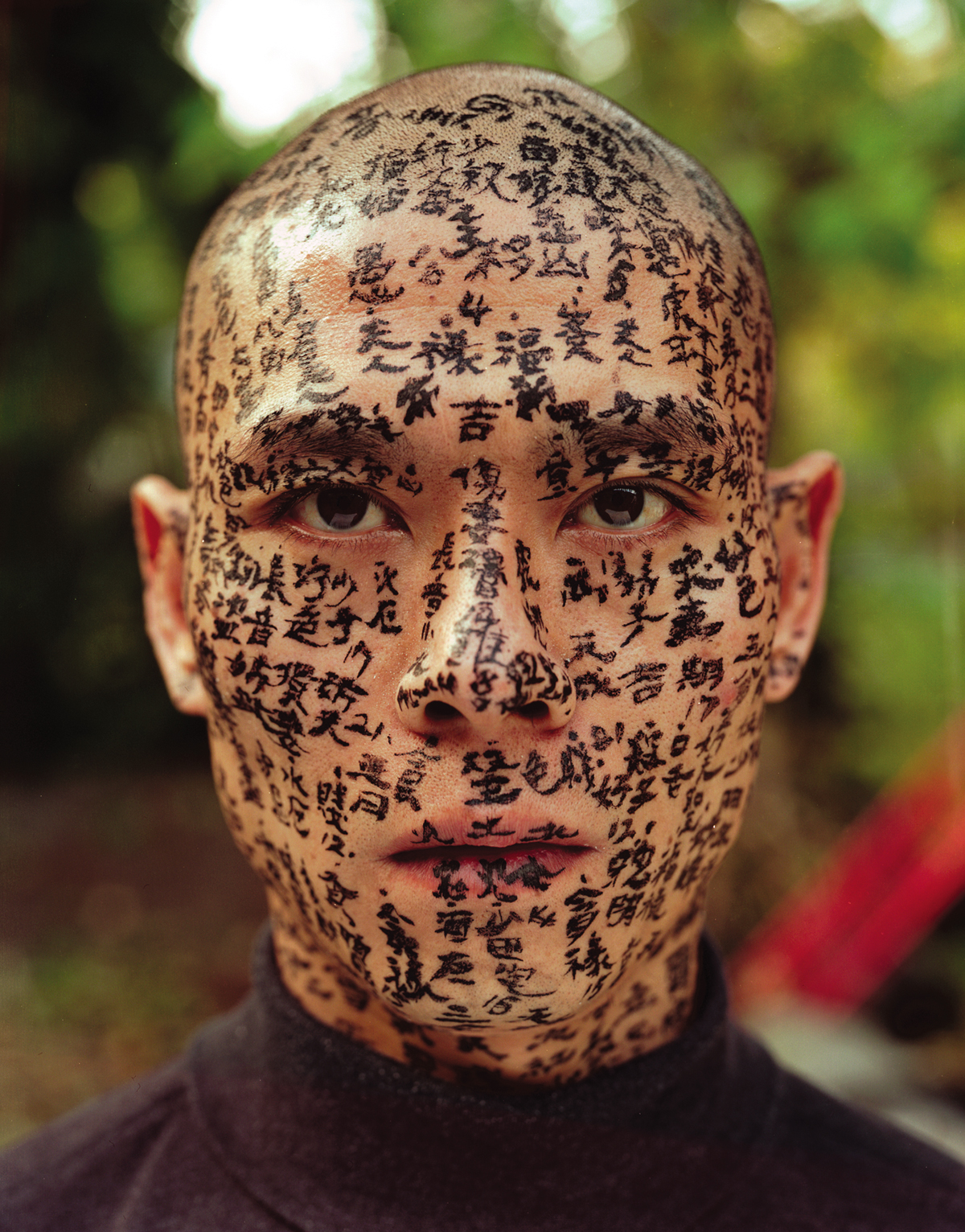 Family Tree, Zhang Huan