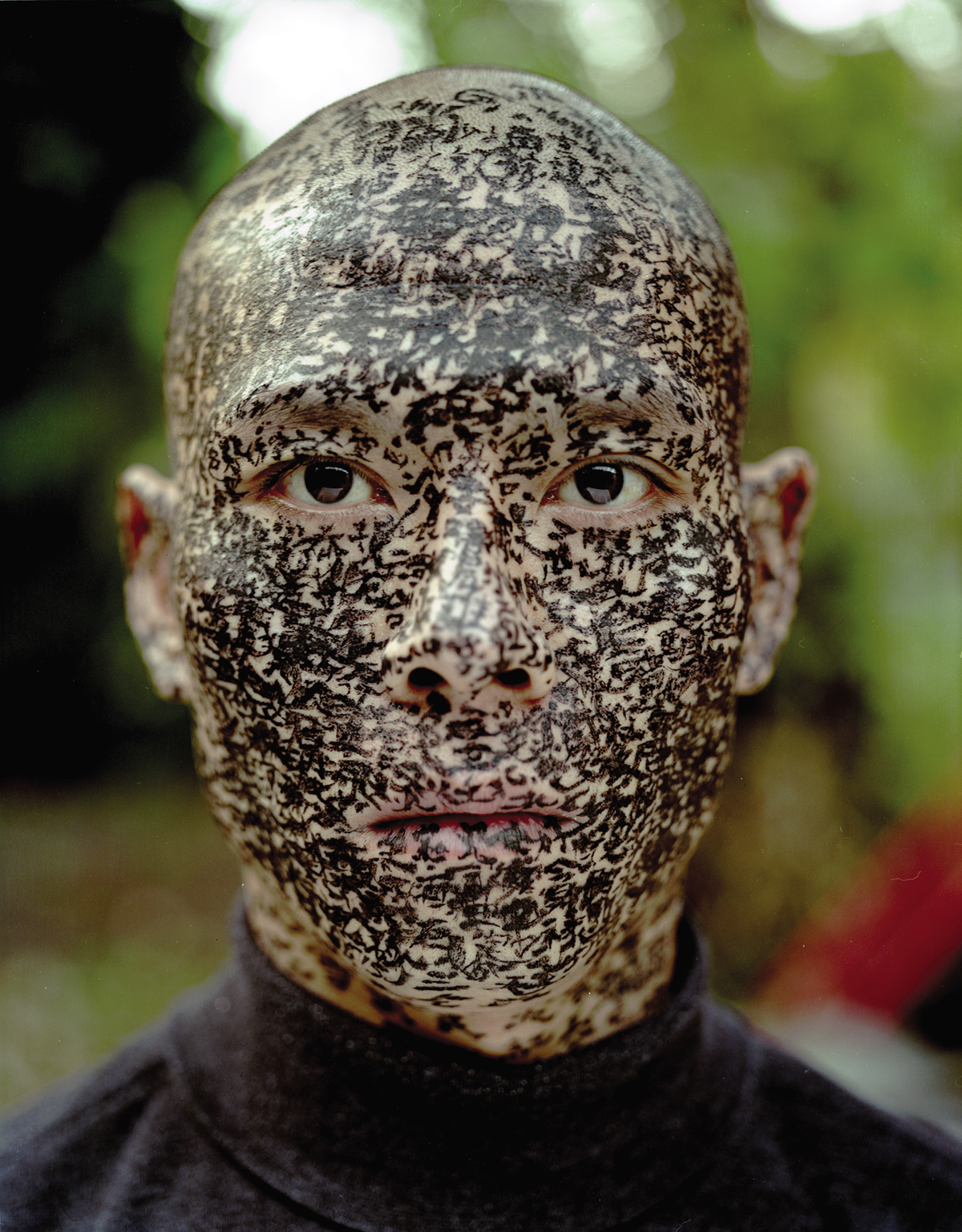 Family Tree, Zhang Huan