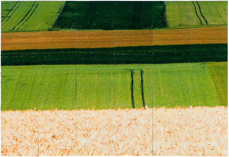 Half the Seed - crop near Fricourt , photographic print, 84 x 163 cm, 2015