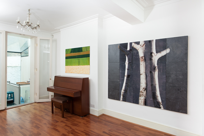 Installation 2: Half the Seed - crop near Fricourt , 2015 and Mine , 2015