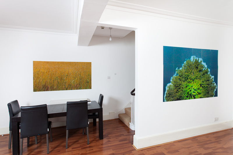 Installation 1: J uly Landscape - view towards Albert , 2015 and Portrait, 2015