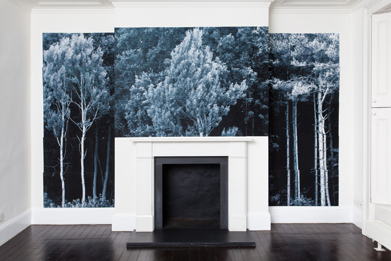 Wood - Mametz Wood, the Somme and Hawkin's Wood, Essex , photographic print, 183 x 366 cm, 2015