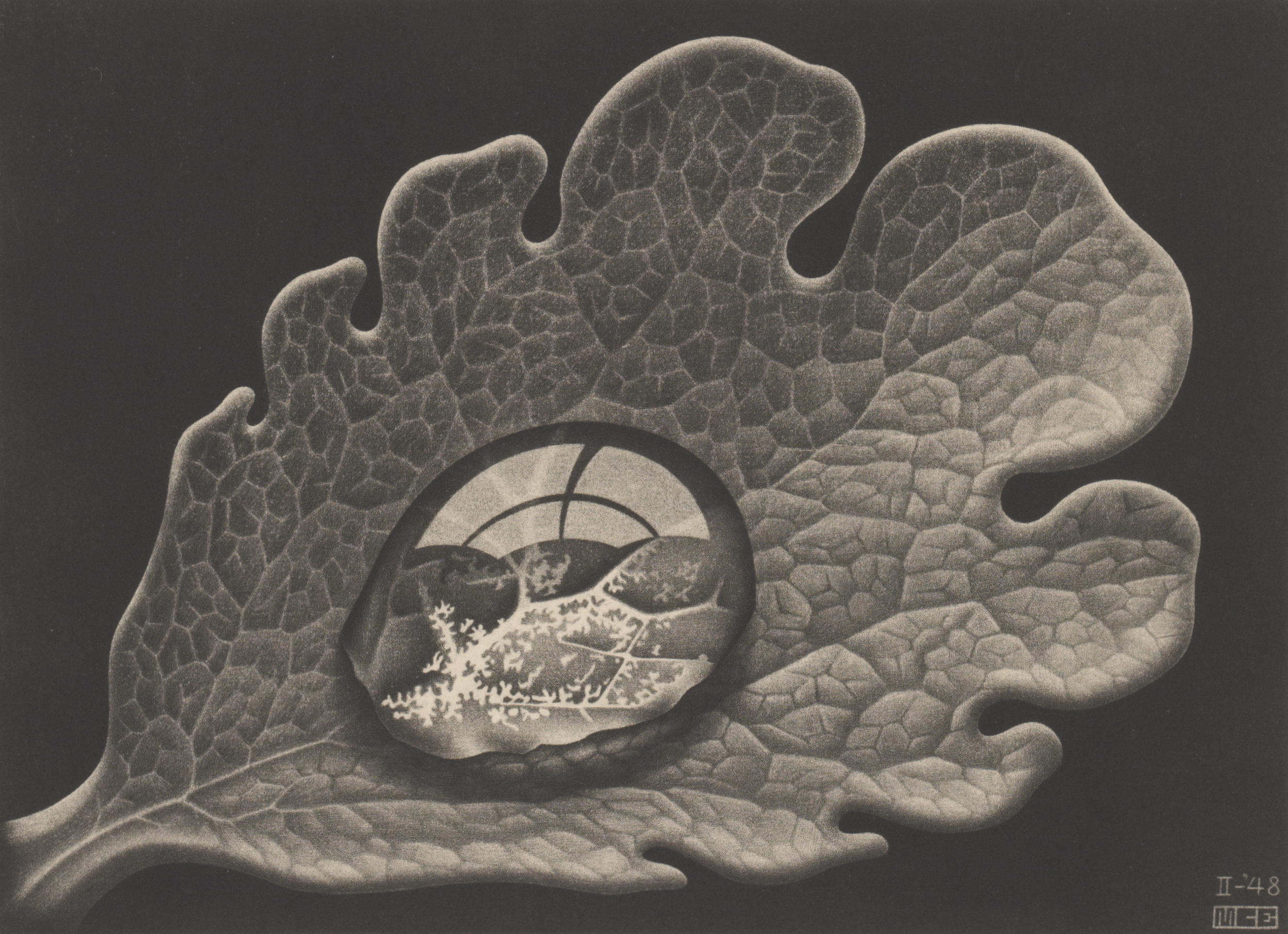 Dewdrop. M.C. Escher (1948)