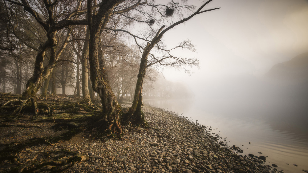 Mark Littlejohn - Aira Point in Mist, Ullswater, Cumbria, England