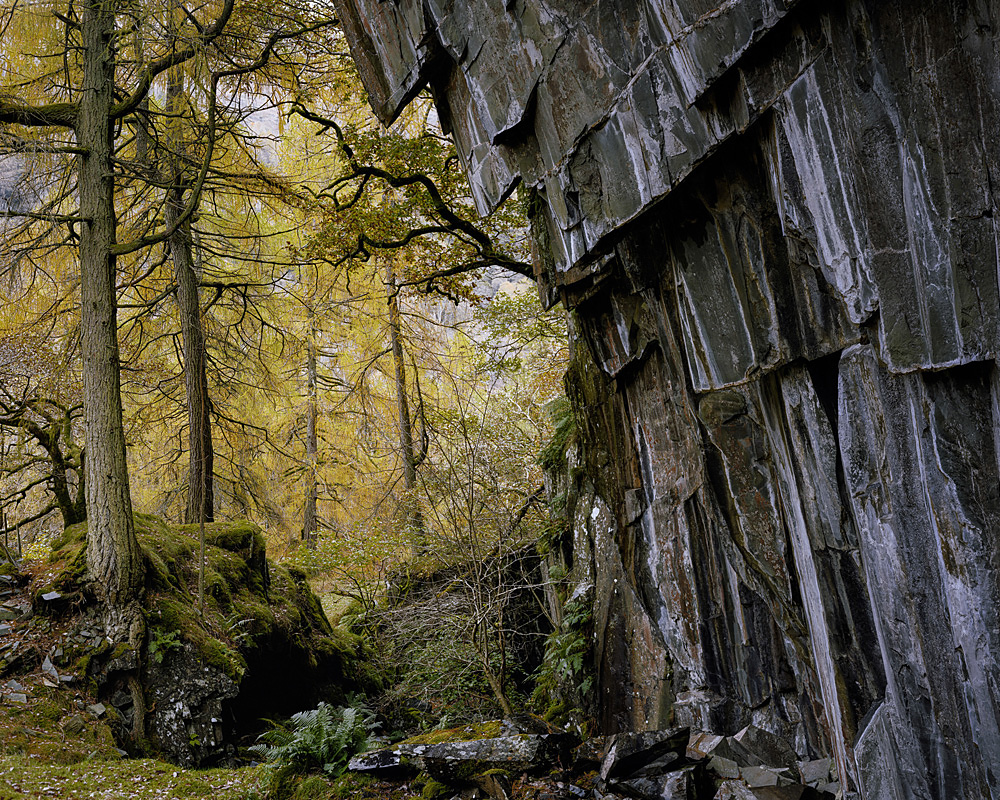 Joseph Wright - Abandoned quarry, Low Hows Wood, Borrowdale, Cumbria, England