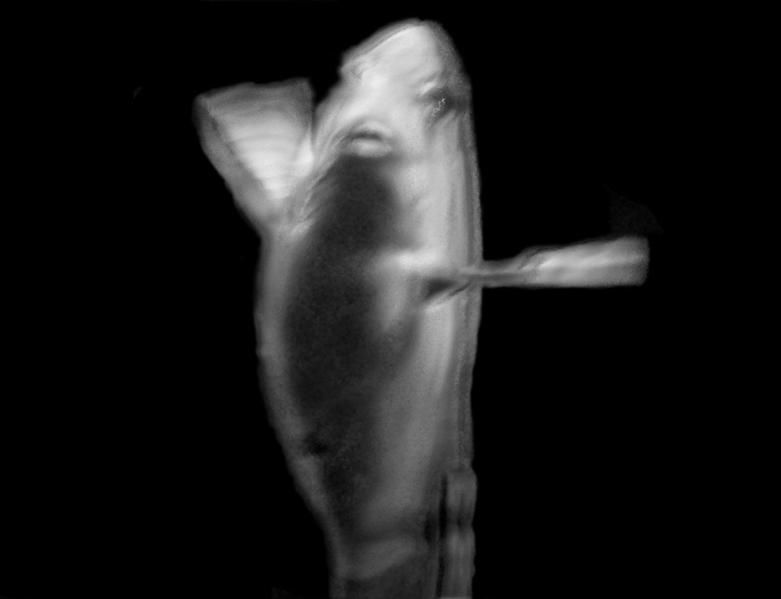 Fish (4), 2015,Copyright Elliot Ross. All rights reserved
