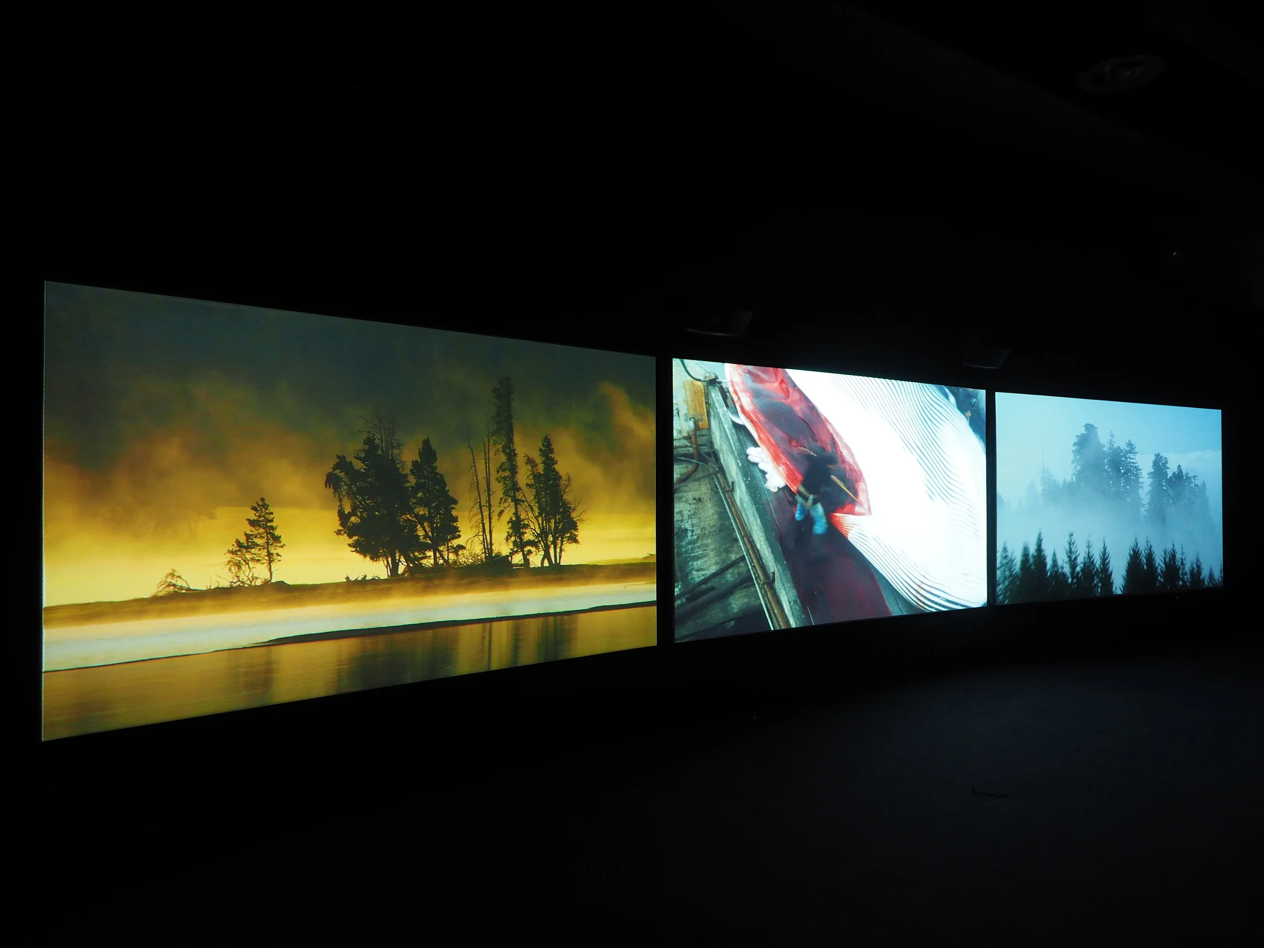 John Akomfrah, Vertigo Sea, 2015 © Smoking Dogs Films. Courtesy Lisson Gallery