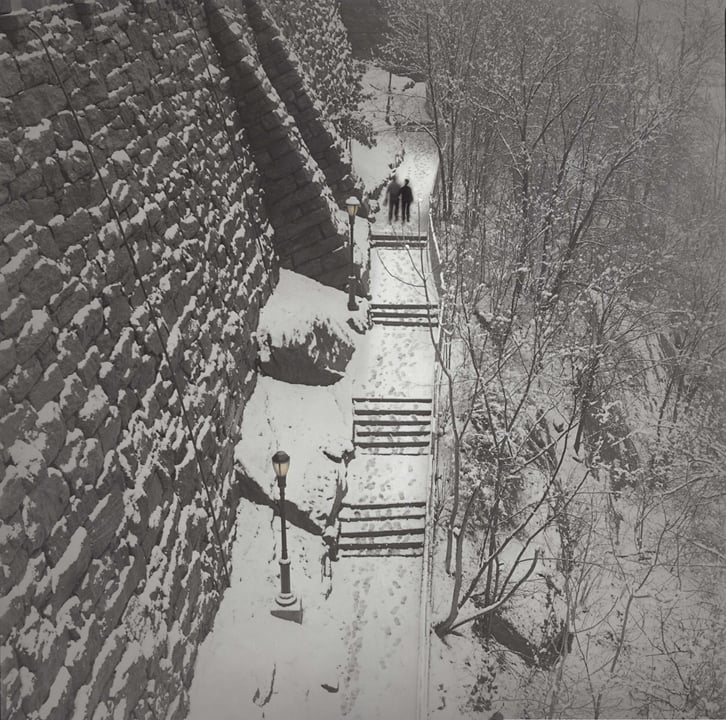 Alexey Titarenko, Morningside Park, New York, 2015. Toned gelatin silver print. Copyright Alexey Titarenko. Image courtesy of Nailya Alexander Gallery