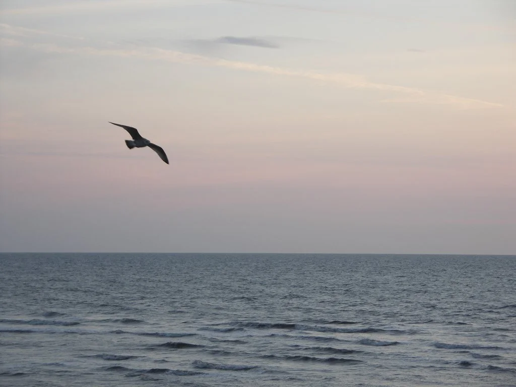 Photography Competitions/Contests for February/March