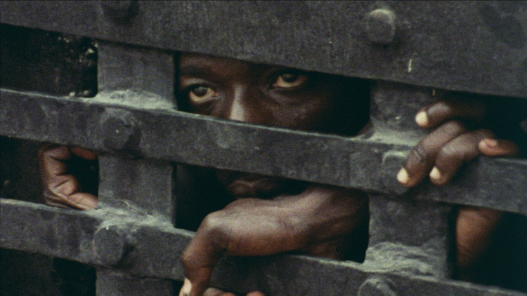 John Akomfrah: Vertigo Sea - Arnolfini, Bristol