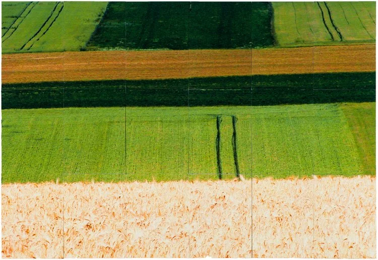 Overlaid Landscapes, Roderick Coyne