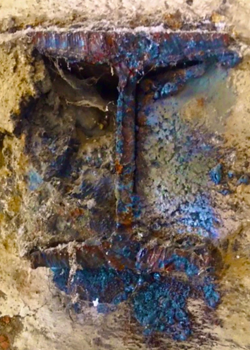 BABOON BLUE.jpg