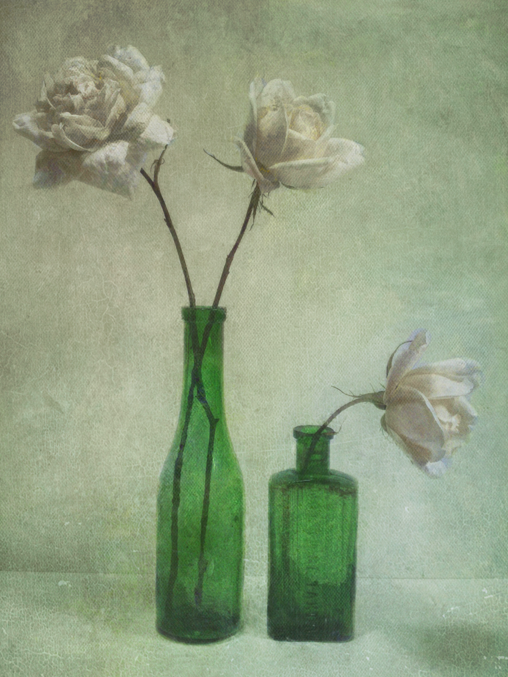 Flowers — Sarah Jarrett