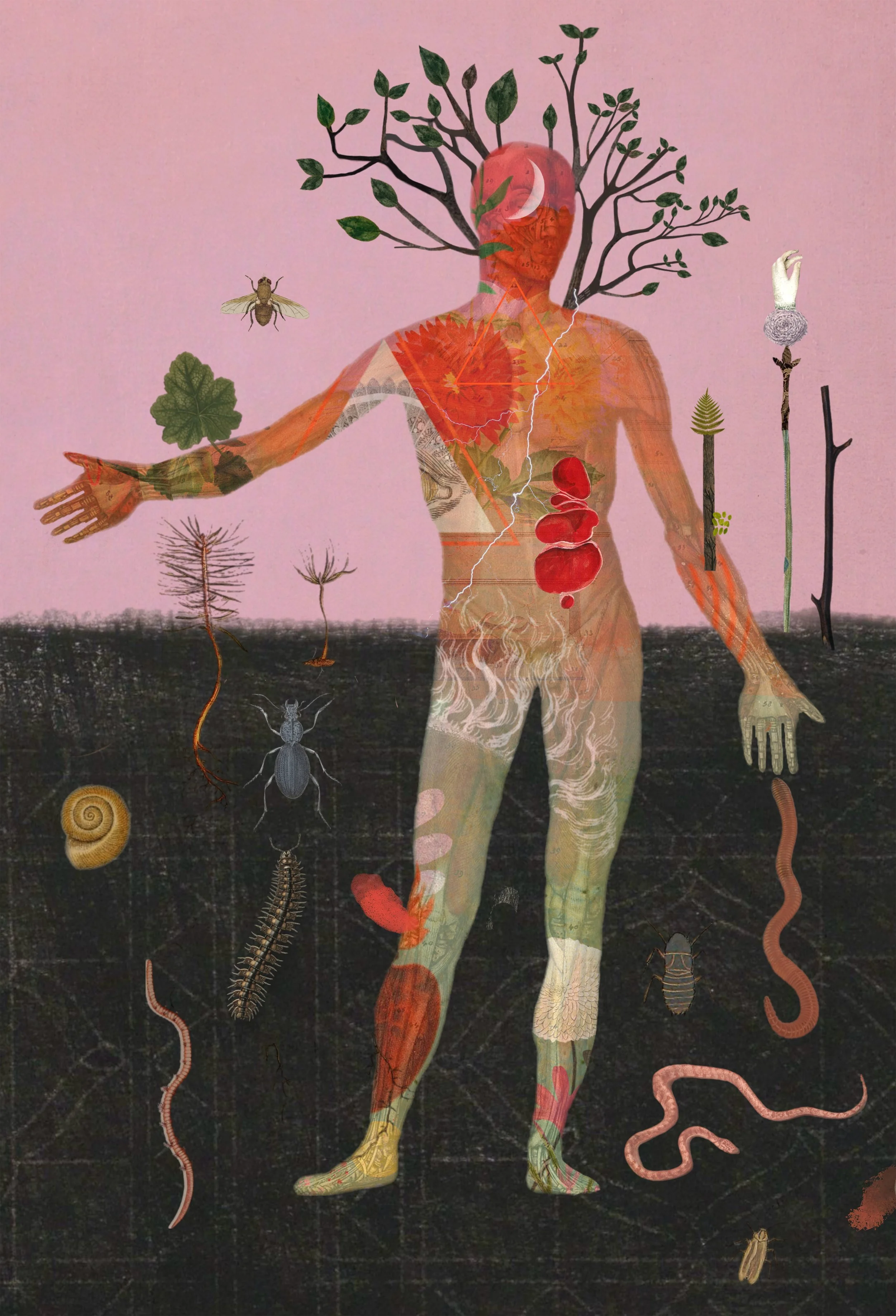 The Moon in the Man