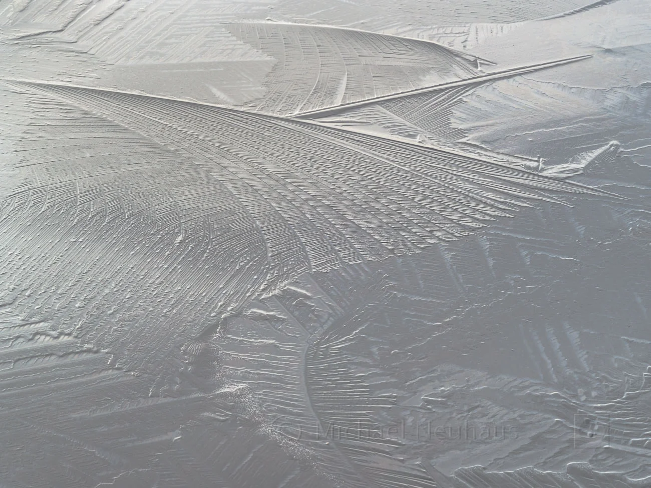 lake oswego ice study #5