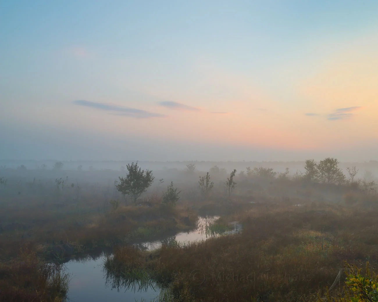 _D8E7923.jpg