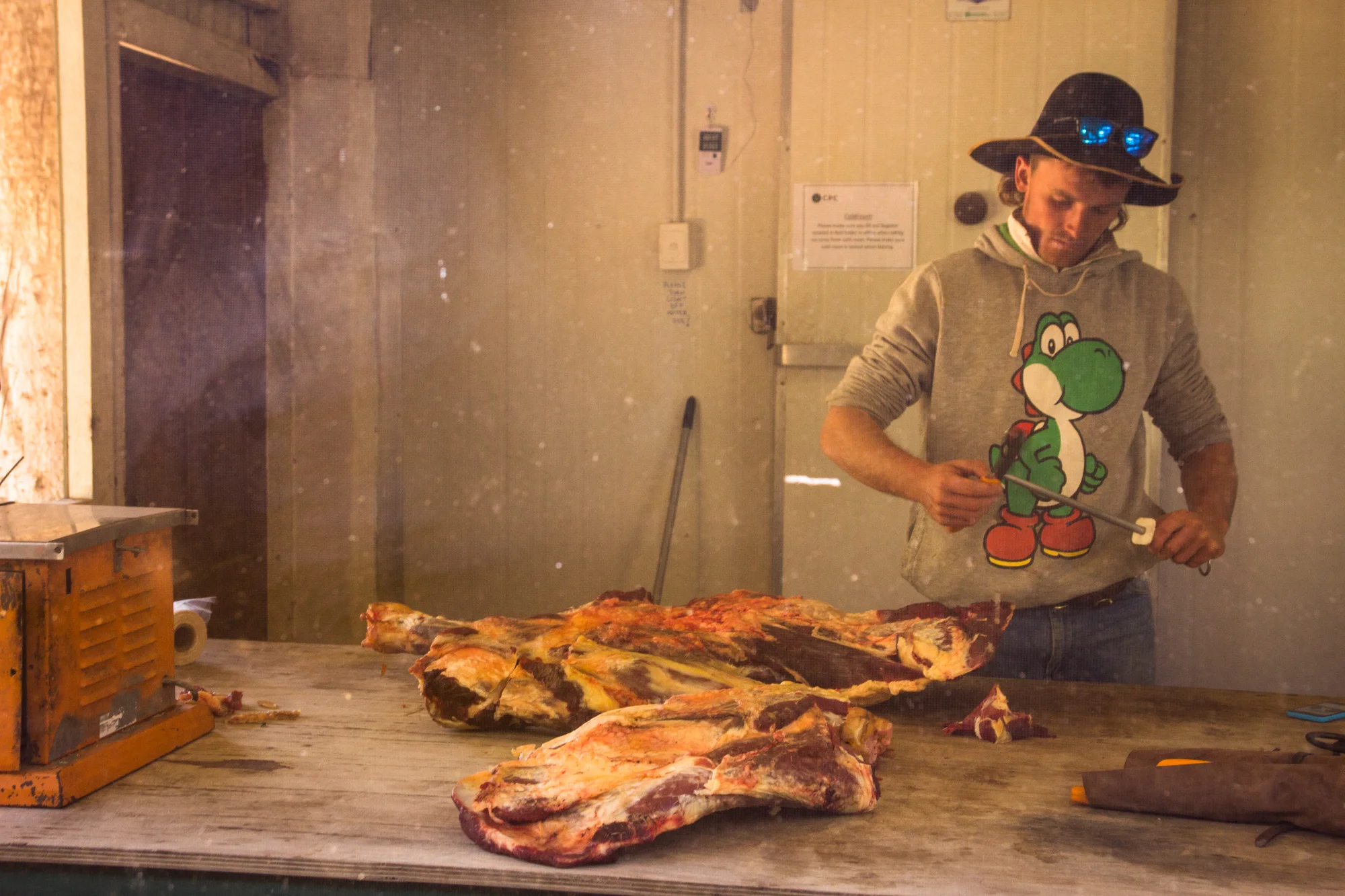 Cameron Butts (20) preparing a recently killed bull. Once bulls become too old to mate, or have begun to slow down the heard, they are sometimes killed and butchered to feed the station staff.