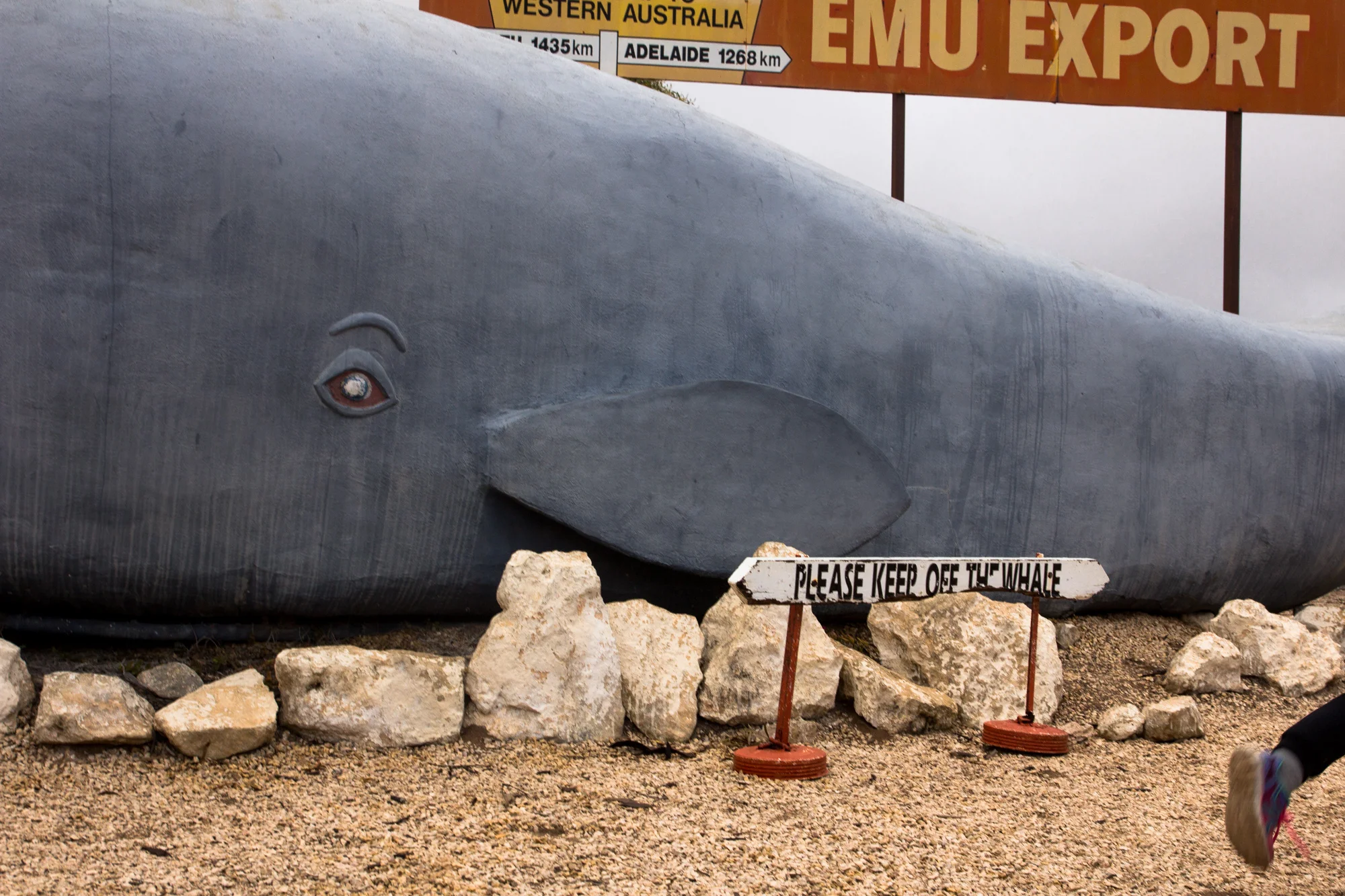 “Please keep off the whale” Along the Nullabor Highway in Western Australia. (2015)
