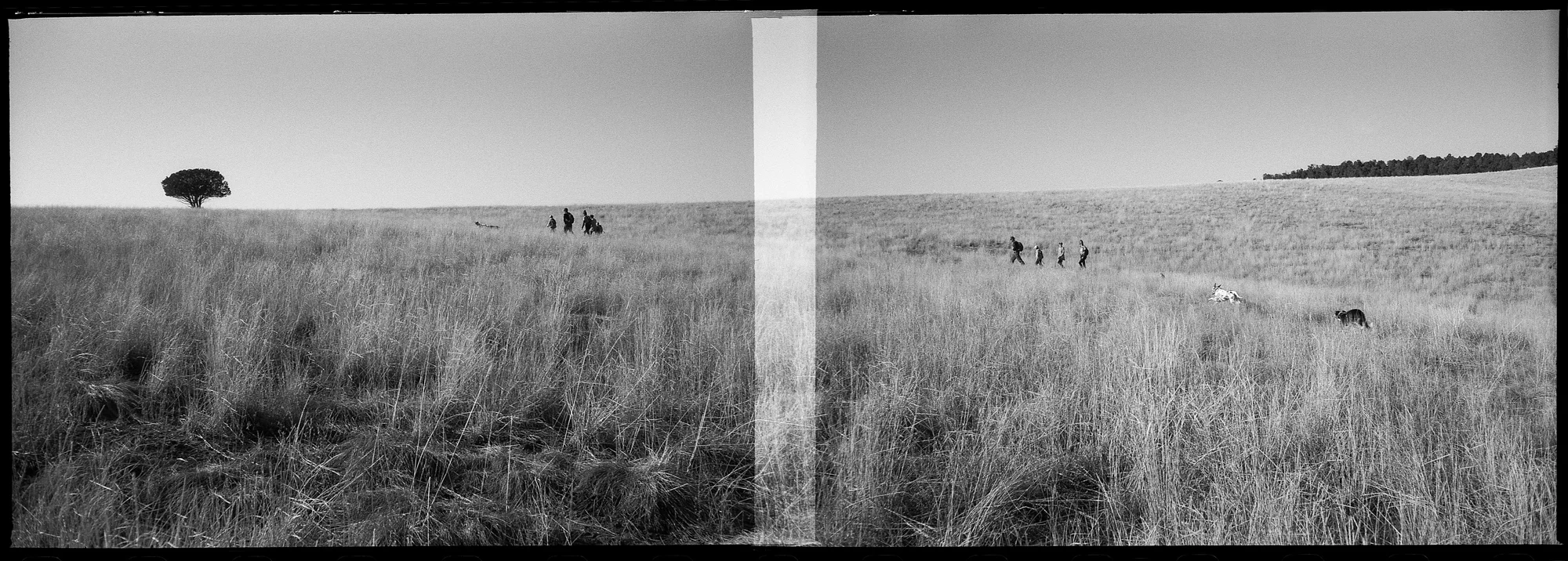 To remember is to sift through the layers of experience. Confabulation : A memory error defined as the production of fabricated, distorted, or misinterpreted memories about oneself or the world, without the conscious intention to deceive. A faulty advance lever on a 35mm film camera forces multiple exposures. Dolores, Colorado