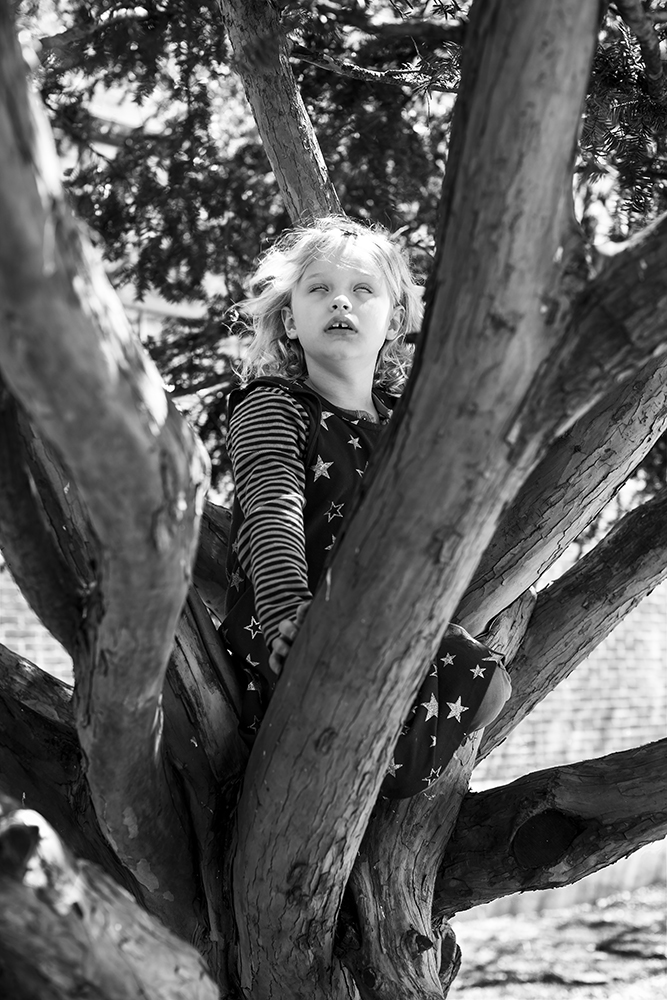2_YOUNG CHILD IN A TREE, BROOKLYN.jpg
