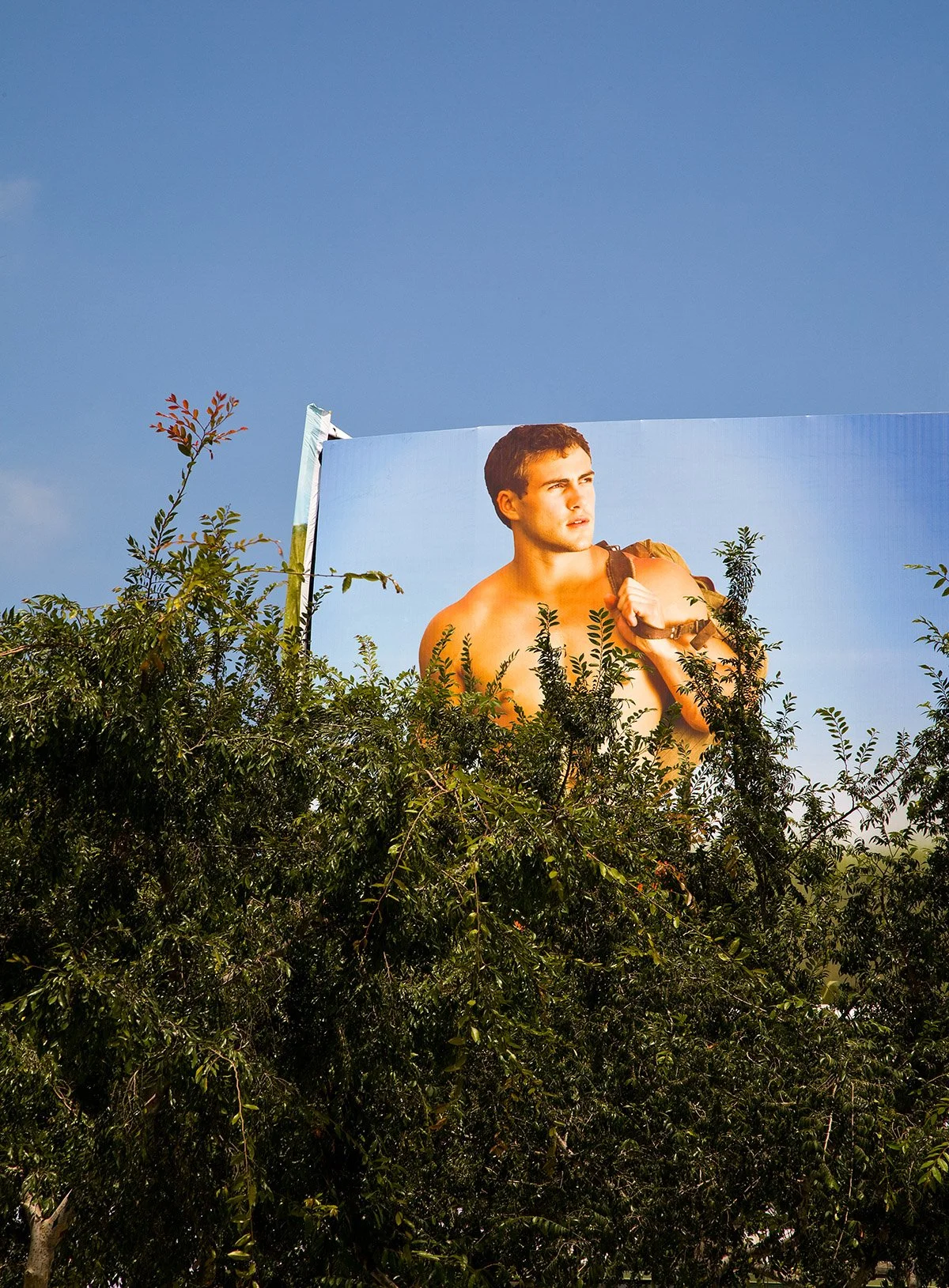 untitled 2.jpg