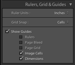 In the Rulers, Grid & Guides section I set my Grid Snap to Cells and turn on the Image Cell guides and Dimensions.
