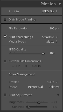 In the Print Job section I select Print to: JPEG file.