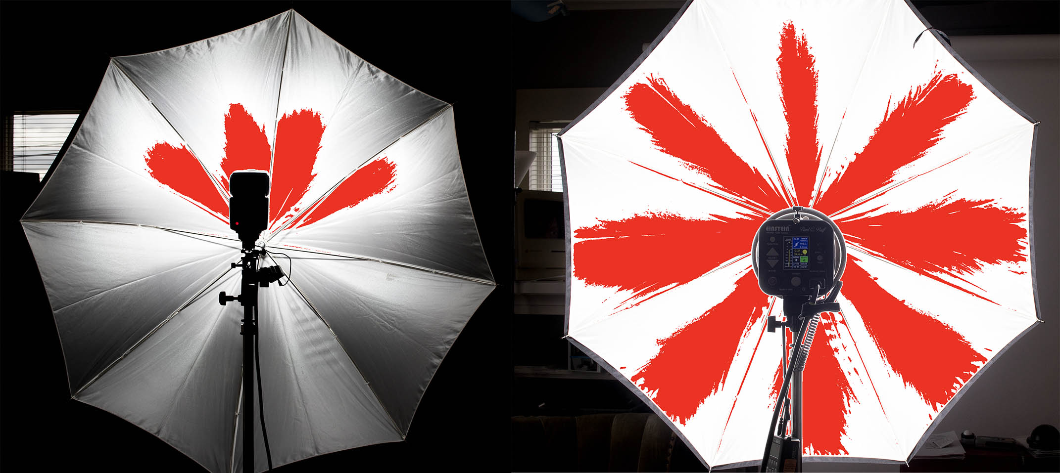 speed light on the left and Einstein on the right in a medium size umbrella. 